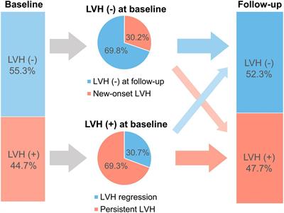 Prognostic implication of left ventricular hypertrophy regression after antihypertensive therapy in patients with hypertension